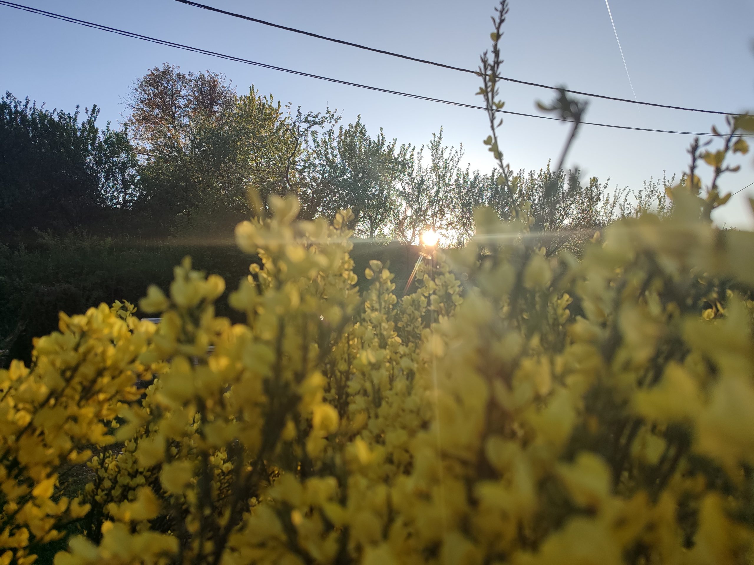 Tjedan pred nama donosi razvedravanje i sunčanije dane